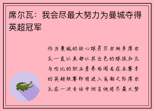 席尔瓦：我会尽最大努力为曼城夺得英超冠军